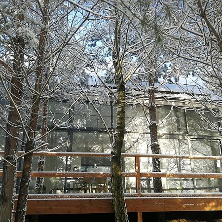 Luksusowy- Nowoczesny Dom W Lesie Villa Kowalewo Exteriör bild