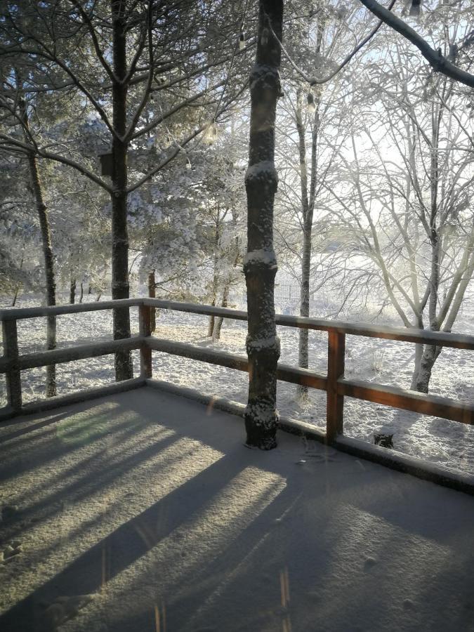 Luksusowy- Nowoczesny Dom W Lesie Villa Kowalewo Exteriör bild