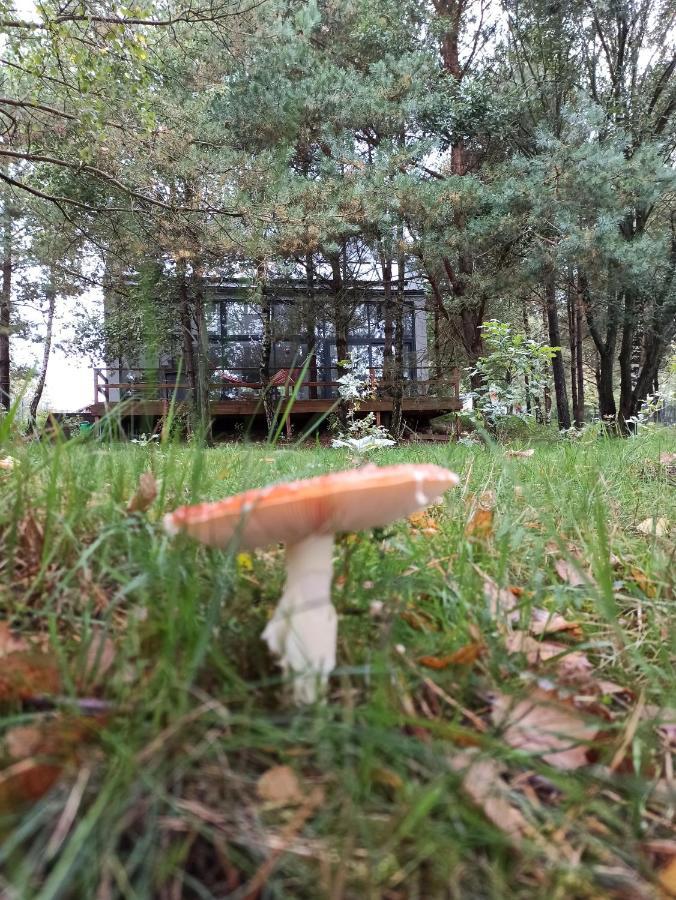 Luksusowy- Nowoczesny Dom W Lesie Villa Kowalewo Exteriör bild
